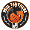 https://img.piscme.com/img/basketball/team/910780fe6318e85fae4659d07270bc25.png